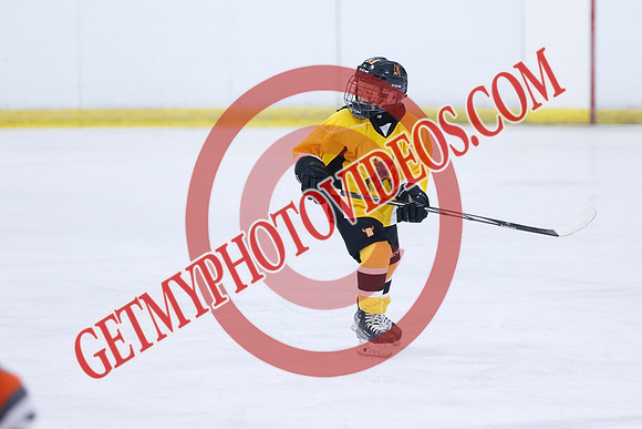 _63A7063_5 05 pm - 2016 - Quinte Golden Bulls vs River Rat Hockey - MNP
