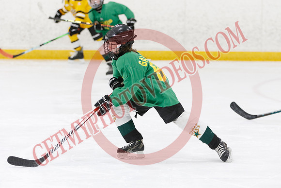 _63A2866_9 00 am - U11 - Millbrooks Stars vs Quite West World Elite Hockey Academy - Pad B
