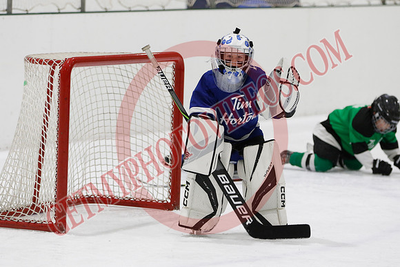 _63A7605_11 00 am - U7D2 - Port Colborne Blue vs Cayuga Stars Green - GREEN A