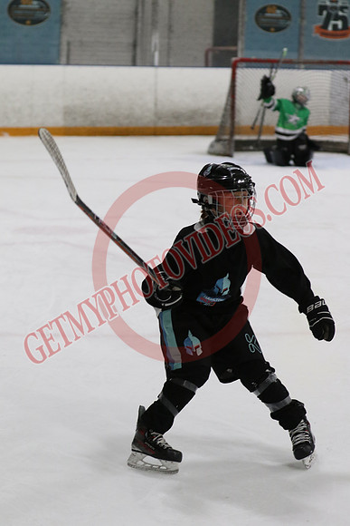 7Z7A0325_5 - 9 50 am - 10 15 am - OHP Hockey Club Blue T2 vs Hamilton Ironmen