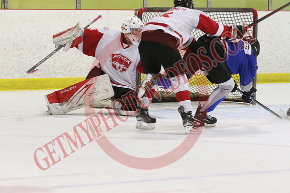 7Z7A0290