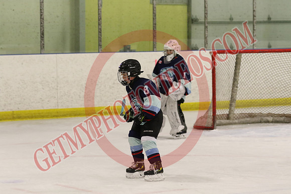 7Z7A3683_7 45 pm – U13 PB – Saugeen Valley Steelheads 2 vs Tillsonburg Tornadoes 2 – Kinsmen