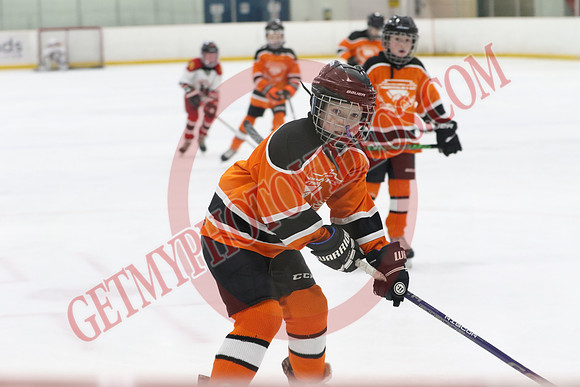 7Z7A5386