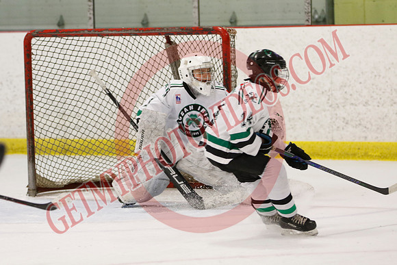 _63A4803_5 45 pm – U11D2 – AEMHA vs Lucan – Eastlink