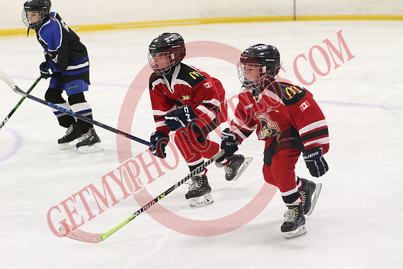 7Z7A9575_7 30 am – U11 – SF – Mount Brydges Cougars Red vs Rockton Beverly Bandits – Tri-Township