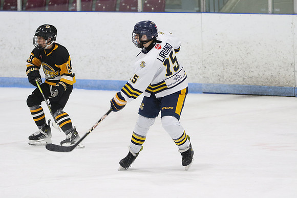 20240531-31723_9 00 pm - U16A - South Oxford Storm vs Whitby Wildcats Blue - MEM