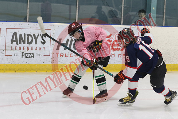 7Z7A3567_8 45 am – U13 – SF – Mount Brydges Cougars Gold vs Pelham Panthers 2– Tri-Township
