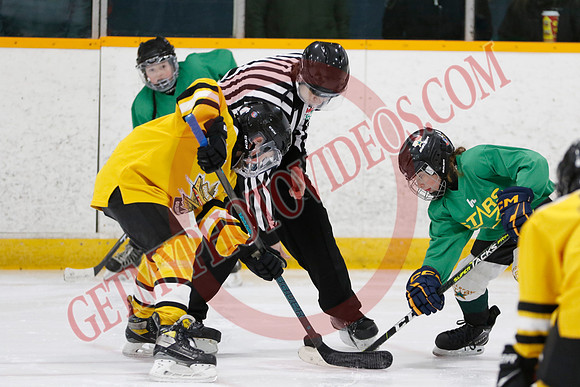 _63A2841_9 00 am - U11 - Millbrooks Stars vs Quite West World Elite Hockey Academy - Pad B