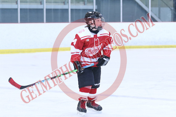 7Z7A8310_8 00 am - Orangeville Flyers Yellow vs Schomberg Red Wings