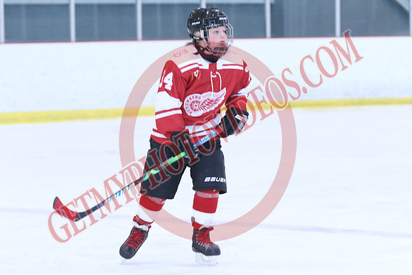7Z7A8308_8 00 am - Orangeville Flyers Yellow vs Schomberg Red Wings