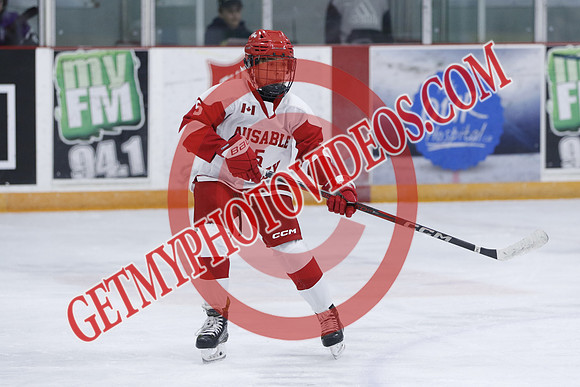 _63A6770_2 50 pm - U11 A - London Jr Mustangs Gray vs Ausable Valley Coyotes - JOE STMHA