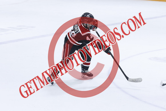 _63A6104_3 25 pm - U13A - Brantford 99ers vs West Niagara Flying Aces - JOE PRESS