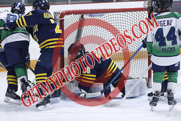 _63A2508_1 40 pm - U13 B - Whitby Wildcats vs Durham Crusaders - JOE PRESS