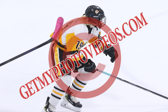 7Z7A9019_6 00 pm – U13B – Ausable Velley Coyotes vs South Oxford Storm – CC