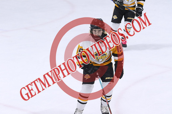 7Z7A9452_6 00 pm – U13B – Ausable Velley Coyotes vs South Oxford Storm – CC