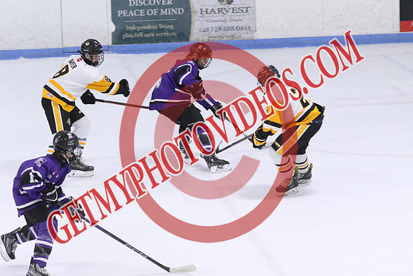 7Z7A7407
