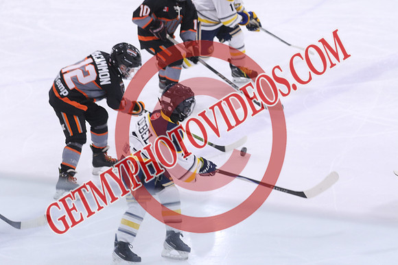 7Z7A7007