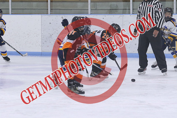 7Z7A1811
