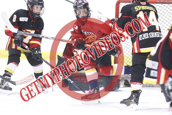 _63A7854_8 45 am – U13 PA – Aymer Flames Black vs Dorchester Dragons – Kinsmen