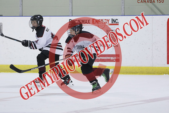 _63A9987_4 30 pm – U13 PB – Dresden Jr Kings vs Tillsonburg Tornadoes 1 – Kinsmen