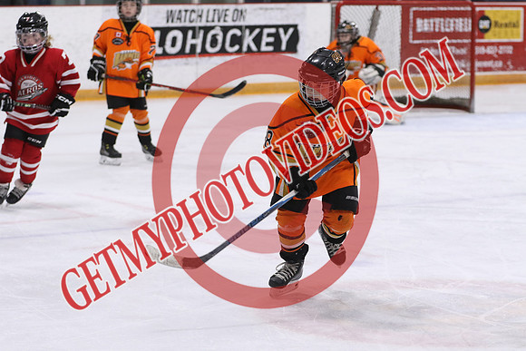 7Z7A6243_10 35 am – U10B – Oakridge Aeros vs London Bandits – STMHA