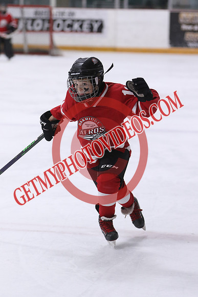 7Z7A6484_10 35 am – U10B – Oakridge Aeros vs London Bandits – STMHA
