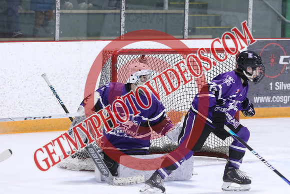 7Z7A4358_10 20 am – U14A – London Jr Mustangs Purple vs Milton Winterhawks – Presstran