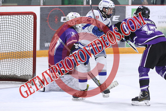 7Z7A4453_10 20 am – U14A – London Jr Mustangs Purple vs Milton Winterhawks – Presstran