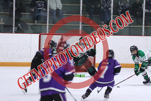 7Z7A2153_8 50 am – U12A – London Jr Mustangs Purple vs St Thomas Stars –Presstran