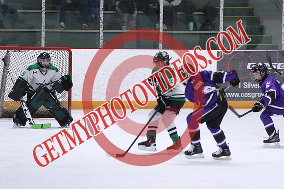 7Z7A2646_8 50 am – U12A – London Jr Mustangs Purple vs St Thomas Stars –Presstran