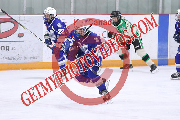 7Z7A2349_2 40 pm – U14A – Milton Winterhawks vs St Thomas Stars – Presstran