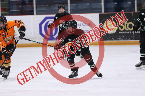 7Z7A7955_10 00 am – U14BB – St Thomas Stars vs London Bandits – STMHA
