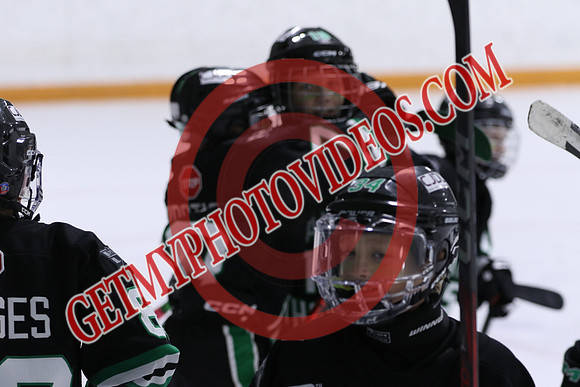7Z7A0806_10 50 am – U10B – St Thomas Stars vs Burlington Bulldogs Blue – Presstran