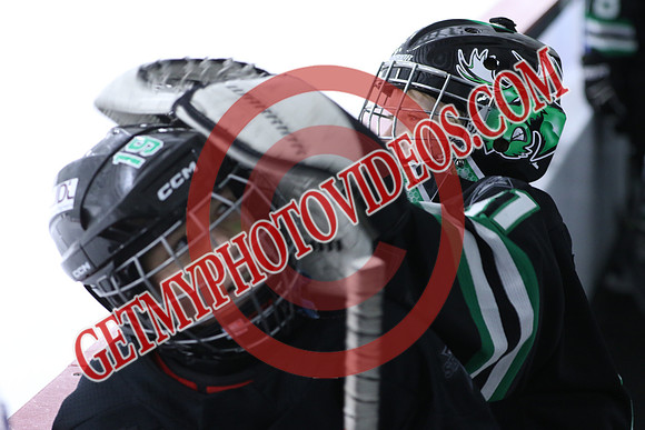 7Z7A0834_10 50 am – U10B – St Thomas Stars vs Burlington Bulldogs Blue – Presstran
