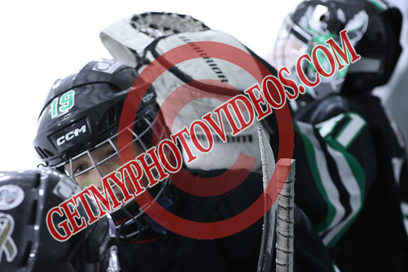 7Z7A0839_10 50 am – U10B – St Thomas Stars vs Burlington Bulldogs Blue – Presstran