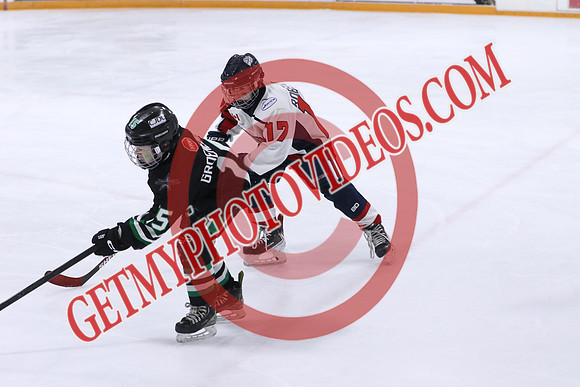 7Z7A0331