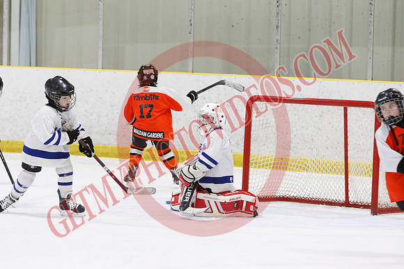 _63A1439_11 45 am - U8LL2 - West Niagara Leafs vs Wainfleet Wild - YELLOW B