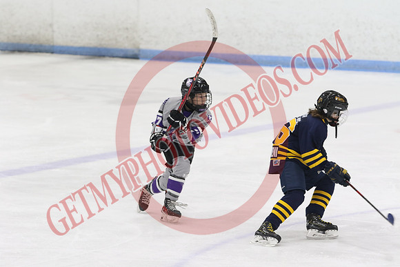 20240601-51052_1 25 pm – U12 A – Erie North Shore Storm vs London Jr Mustangs White – Memorial