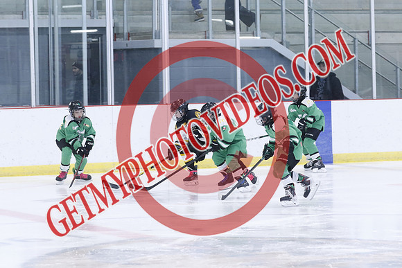20251213-3490