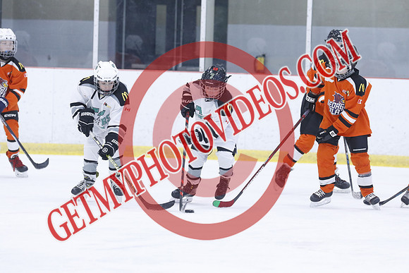 20251213-3018_10 00 AM-U11-Twin Centre Stars U11 LL2 VS Georgina Blaze-Trisan Centre