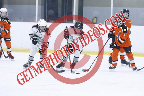 20251213-3019_10 00 AM-U11-Twin Centre Stars U11 LL2 VS Georgina Blaze-Trisan Centre