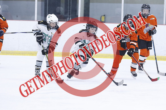 20251213-3022_10 00 AM-U11-Twin Centre Stars U11 LL2 VS Georgina Blaze-Trisan Centre