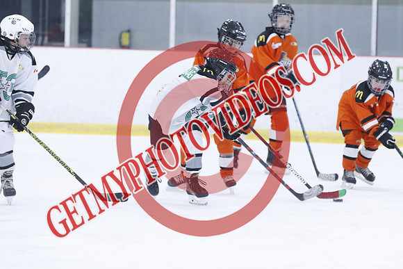 20251213-3024_10 00 AM-U11-Twin Centre Stars U11 LL2 VS Georgina Blaze-Trisan Centre