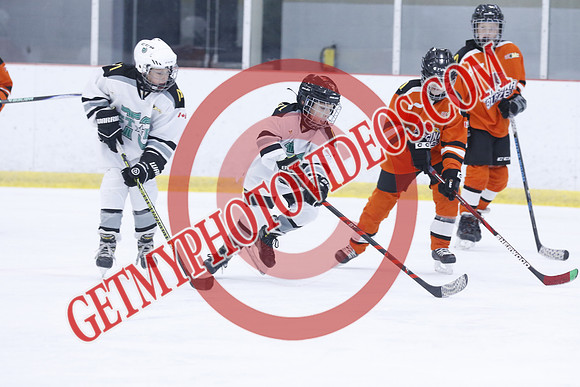 20251213-3023_10 00 AM-U11-Twin Centre Stars U11 LL2 VS Georgina Blaze-Trisan Centre