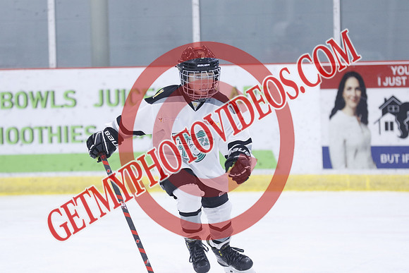 20251213-3198_10 00 AM-U11-Twin Centre Stars U11 LL2 VS Georgina Blaze-Trisan Centre