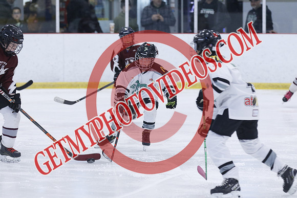 _63A8056_12 00 PM-U11-Honeywood Hurricanes VS Twin Centre Stars U11 LL2-Trisan Centre