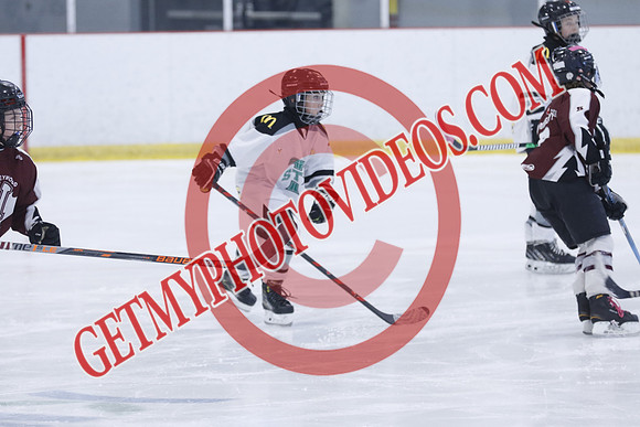 _63A8113_12 00 PM-U11-Honeywood Hurricanes VS Twin Centre Stars U11 LL2-Trisan Centre