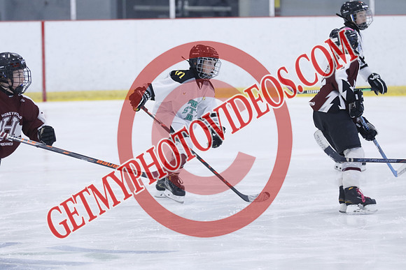 _63A8112_12 00 PM-U11-Honeywood Hurricanes VS Twin Centre Stars U11 LL2-Trisan Centre
