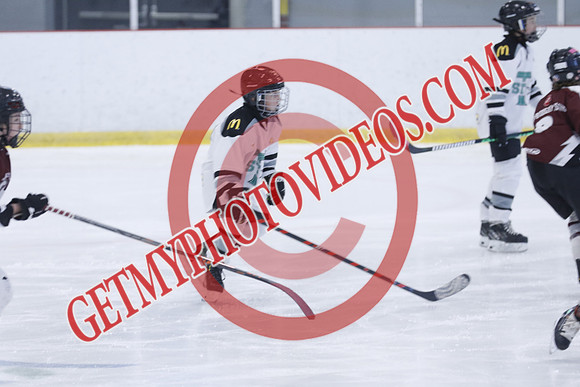 _63A8115_12 00 PM-U11-Honeywood Hurricanes VS Twin Centre Stars U11 LL2-Trisan Centre