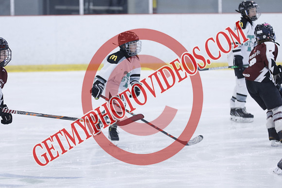 _63A8114_12 00 PM-U11-Honeywood Hurricanes VS Twin Centre Stars U11 LL2-Trisan Centre